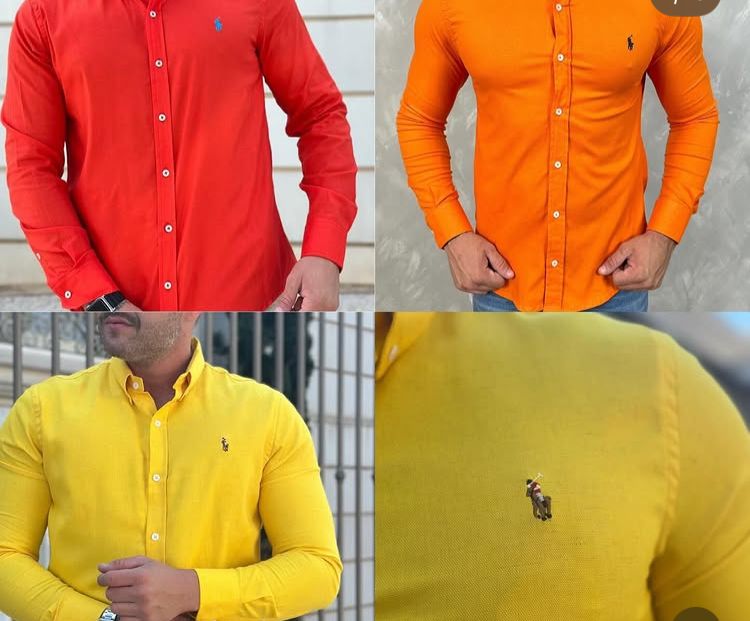 Camisas polo e sociais